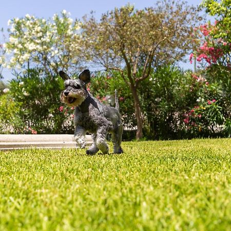 Villa Kore, カーポ・ヴァチカーノ エクステリア 写真